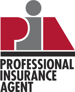 Professional Insurance Agent